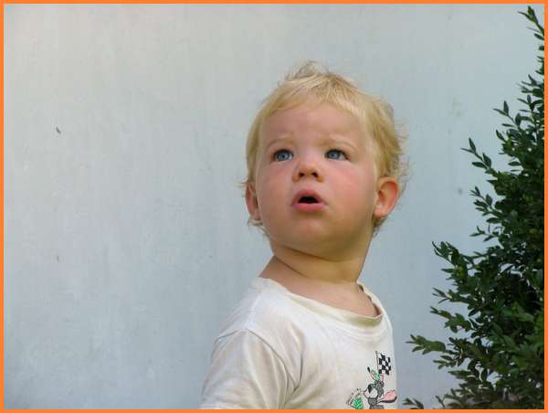 2006:08:17 16:17:56