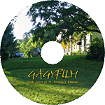 dvd korong