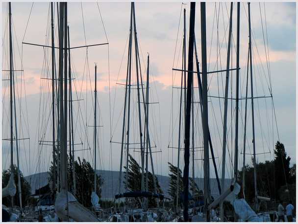 4115_arbocok.jpg