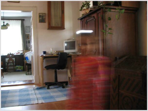7539_borso.jpg
