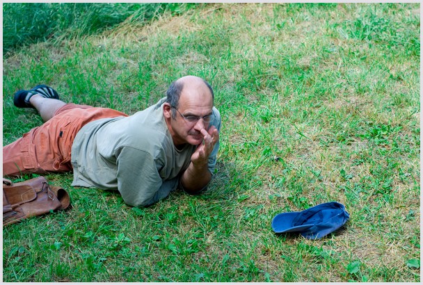 5731_tamas.jpg