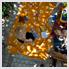 7230_andris-borso.jpg