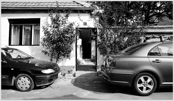 12393_haz-auto.jpg