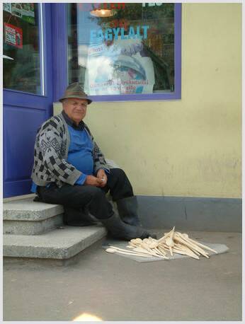 207.jpg